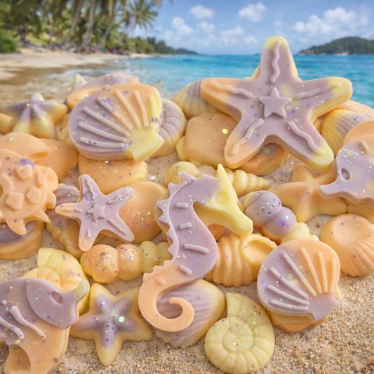 CLEARANCE Exotic Escape, Shells & Sea Creatures Shaped Wax Melts
